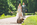 Hochzeitsfotograf Celle