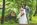 Hochzeitsfotograf Celle