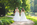 Hochzeitsfotograf Celle gay