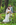 Hochzeitsfotograf Celle