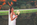 Hochzeitsfotograf Celle