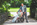 Hochzeitsfotograf Celle behinderung